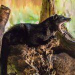 Speciality Coffee of The Day